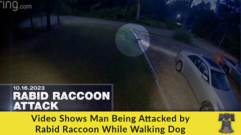 Video Shows Man Being Attacked by Rabid Raccoon While Walking Dog