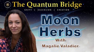 Moon Herbs - with Magalie Valadier