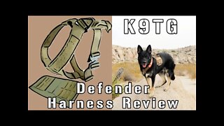 K9 Tactical Gear Traditional Defender Dog Harness Review