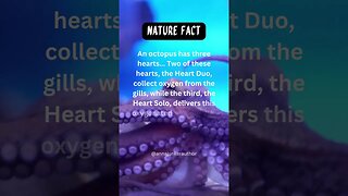 AMAZING Nature Fact Triple-Heart System of an Octopus #shorts