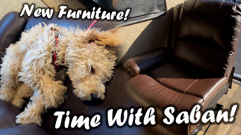 Time with Saban & Changing Furniture! - RV New Adventures