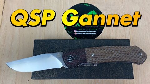 QSP Gannet front flipper Great design & affordable yet classy !!