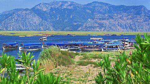 Dalyan on the Turkish Aegean