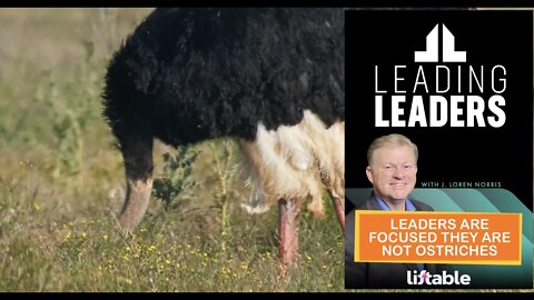 LEADERS ARE FOCUSED THEY ARE NOT OSTRICHES
