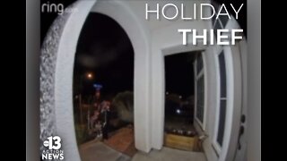 Thief CAUGHT ON CAMERA stealing holiday decorations