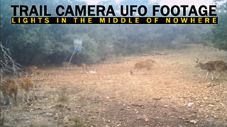 Caught on Tape 2023, UFO 2023, Trail Camera UFO Sighting Captured During The Night