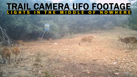 Caught on Tape 2023, UFO 2023, Trail Camera UFO Sighting Captured During The Night