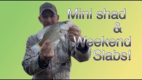 Mini Shad & Weekend Slabs