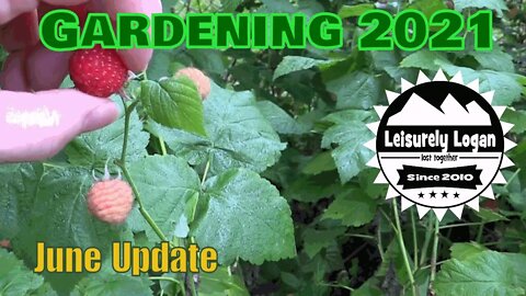 Garden 2021 : June Update