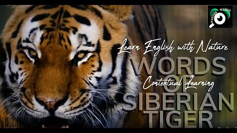 THE WORDS of SIBERIAN TIGERS