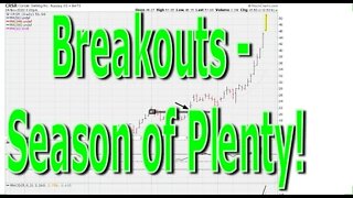 Breakouts - Season of Plenty! - #1303