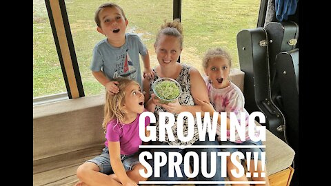 Growing Sprouts in a Bus!!!