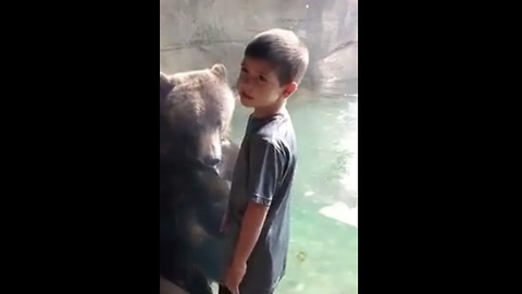 Little boy and bear play together