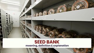 What is SEED BANK?