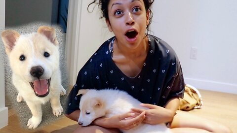 SURPRISING GIRLFRIEND WITH NEW PUPPY !!