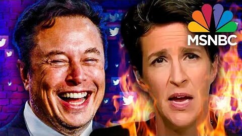 MSNBC Panics as Elon PURGES Woke Leftist Twitter Accounts!!!