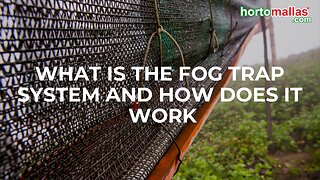 What is the fog trap system and how does it work