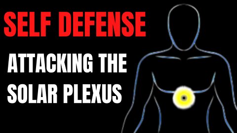 Attacking The Solar Plexus - Target Focus Training - Tim Larkin - Awareness - Self Protection