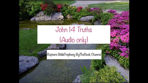 John 14 Truths: The Spiritual Marriage (Audio only)