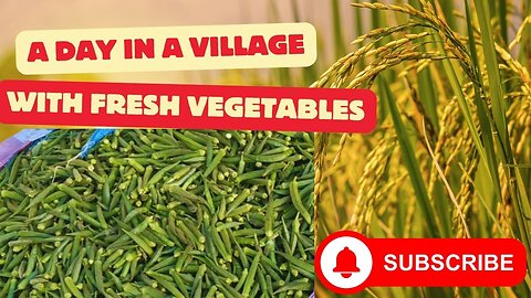 Village Fields: A Day with Fresh Vegetables