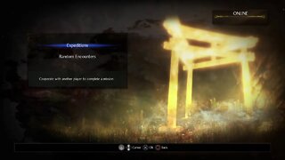 Road to Platinum: Nioh 2!