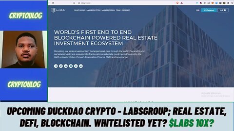 Upcoming DuckDAO Crypto - Labsgroup; Real Estate, DEFI, Blockchain. Whitelisted Yet? $LABS 10X?