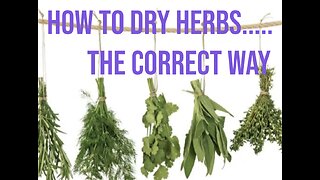 How to dry herbs