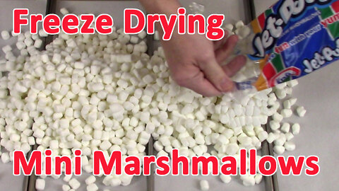 Freeze Drying Mini Marshmallows