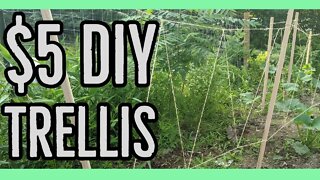 DIY How to Make an Easy Garden Trellis ||$5||