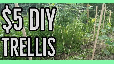 DIY How to Make an Easy Garden Trellis ||$5||