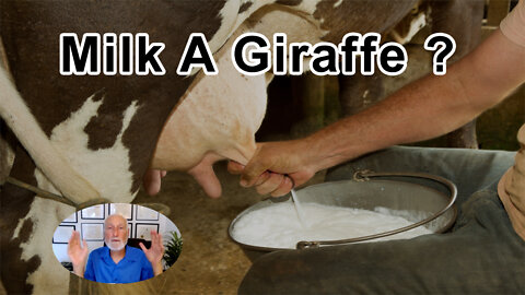 We Have No More Need For The Milk Of A Cow Than We Do For The Milk Of A Giraffe - Michael Klaper