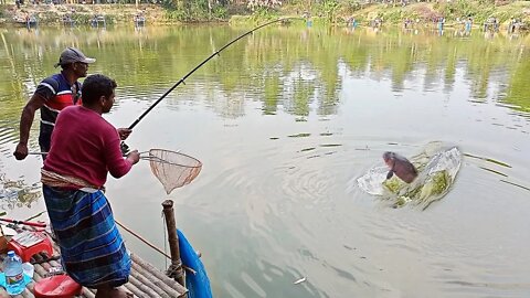 Best catla fish catching/Traditional man catching big fish by hook