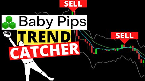 MUST WATCH for BEGINNER TRADERS | BabyPips | HLHB Trend-Catcher System
