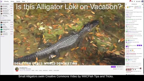 PARODY: Alligator Streamer, is it a Loki? | 1440p | 2K