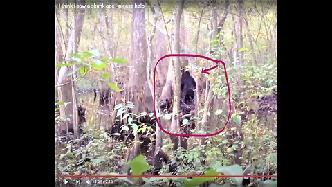 AMAZING BIGFOOT SIGHTING CAUGHT ON VIDEO IN MS!*SCIENCE ALREADY ACKNOWLEDGED THE REALITY OF BIGFOOT?