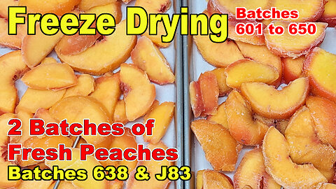 Freeze Drying Fresh Peaches - Batches 638 and J83