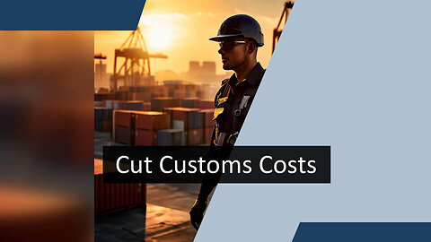 "Maximizing Efficiency: Alternatives to Costly Customs Examinations"