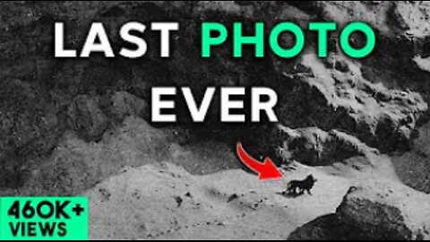 7 last photos of extinct animals