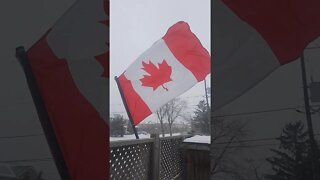 Canadian Flag Waiving In Wind During Blizzard 2021 #shorts