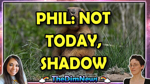 TheDimNews LIVE: Punxsutawney Phil Predicts Early Spring