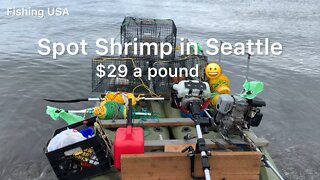 Fishing USA: Testing home made traps. Catch spot shrimp in Seattle by Kayaks