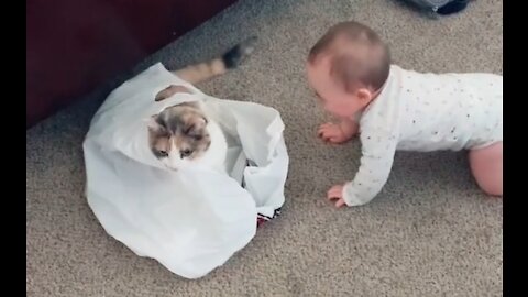 The cat cracks her up so much #baby #babylaugh #babyandcat #fyp