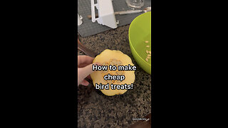 How to make a cheap and healthy (bird) treat!