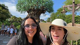 🔴 It’s Steph’s Birthday - Live Animal Kingdom