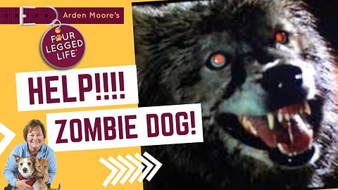 A Real Zombie Dog Actor