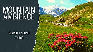 Relaxing Mountain Ambience Sound Green Grass and Red Flower On It