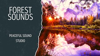 Rainforest Ambience 4K Stunning Landscapes | Peaceful Sound Studio | Beautiful Scenery Jungle Sounds