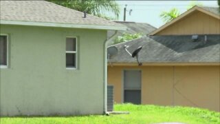 Cape Coral city leaders respond to affordable housing questions