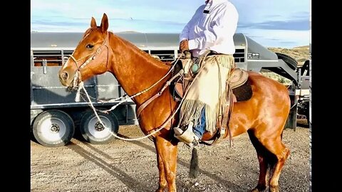 Talkin' Indian Cowboys with James Shoshone