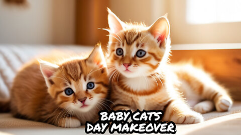 Transform Your Day with Cute Baby Cats #cute #cat #babyanimals
